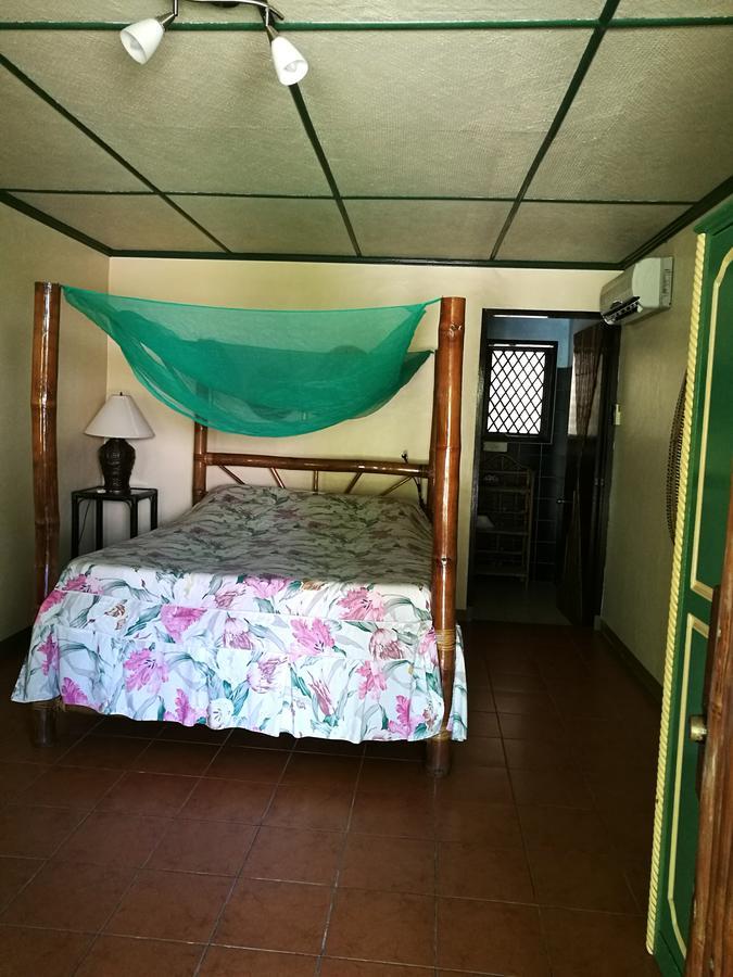 Ravenala Beach Bungalows Moalboal Exterior foto